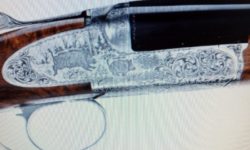 Chapuis Rifle grabados perfectos